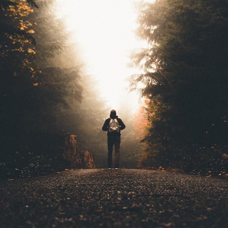 Nature travel hero image